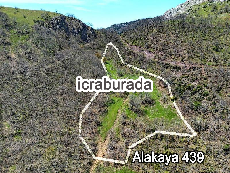icralık  m2 Tarla Bursa İznik Alakaya