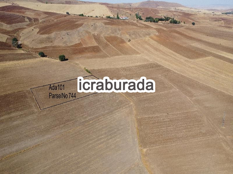 icralık  m2 Tarla Yozgat Merkez Divanli