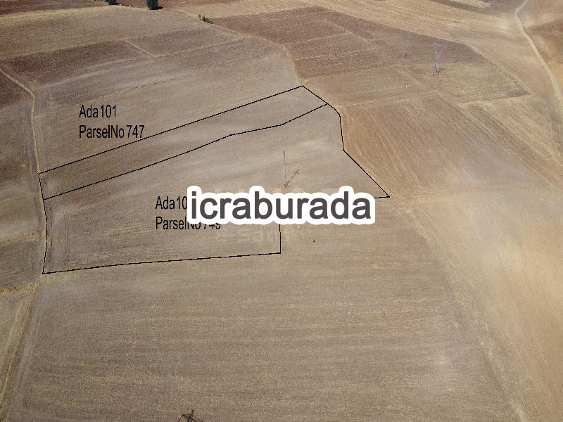 icralık  m2 Tarla Yozgat Merkez Divanli