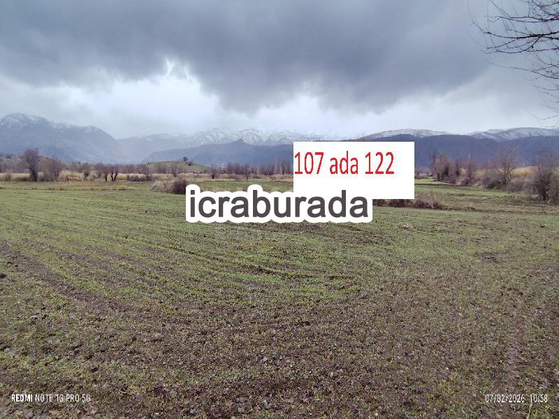 icralık  m2 Tarla Elazığ Merkez Sarikamiş