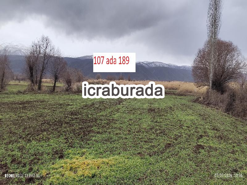 icralık  m2 Tarla Elazığ Merkez Sarikamiş
