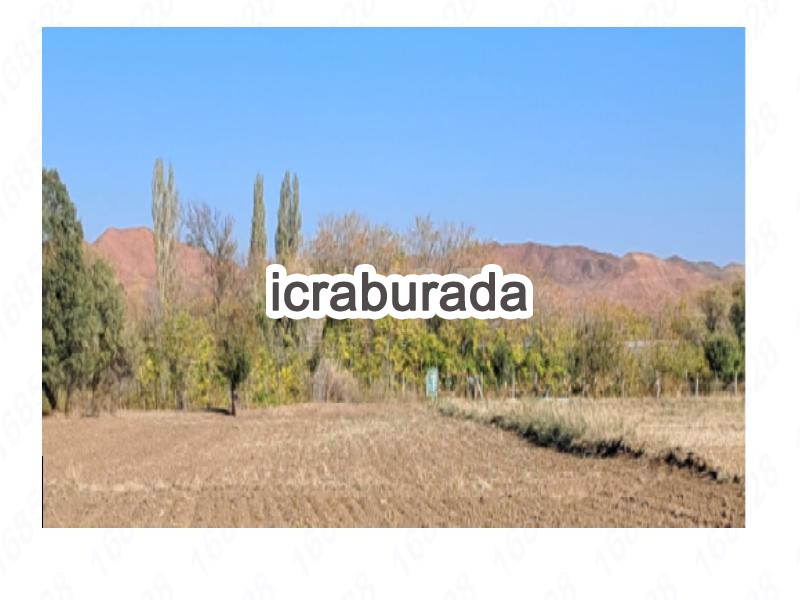 icralık  m2 Bag Çorum Sungurlu Akpinar