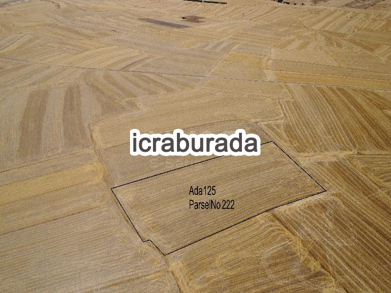 icralık  m2 Tarla Yozgat Merkez Divanli
