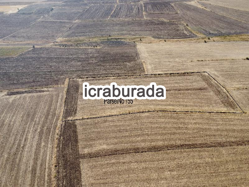 icralık  m2 Tarla Yozgat Merkez Divanli