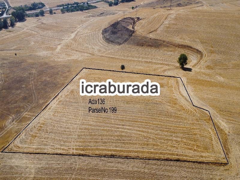 icralık  m2 Tarla Yozgat Merkez Divanli