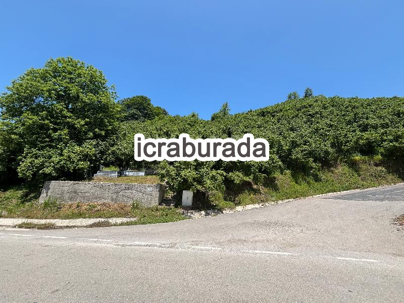 icralık  m2 Diger Ordu Fatsa Ilica