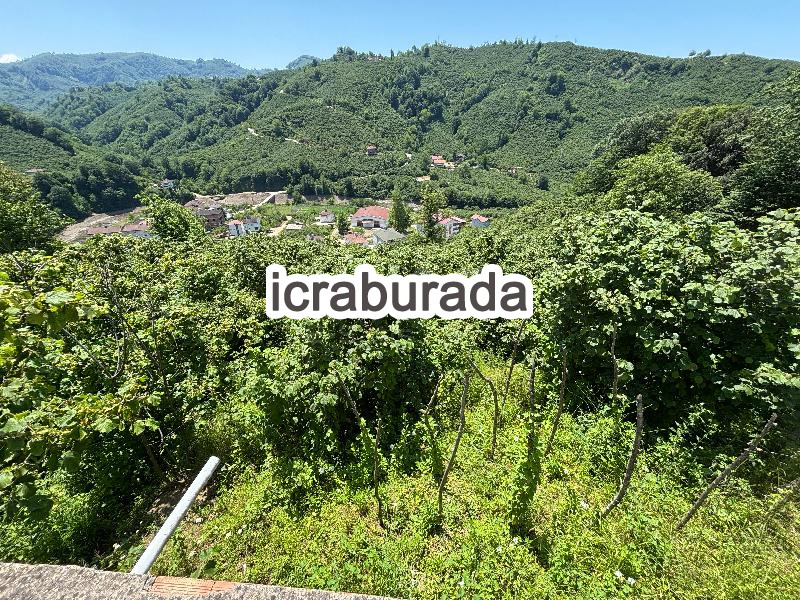 icralık  m2 Diger Ordu Fatsa Ilica