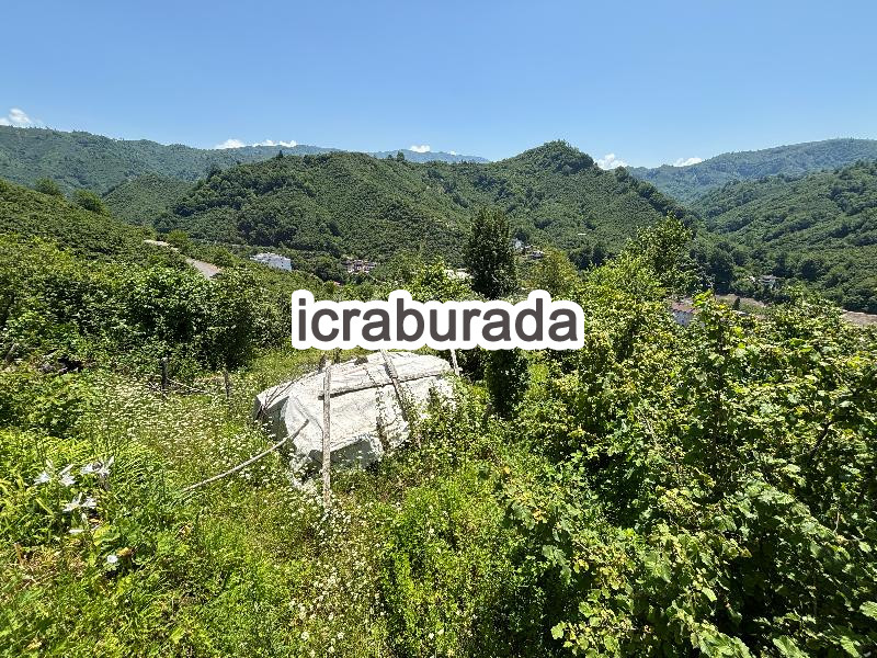 icralık  m2 Diger Ordu Fatsa Ilica
