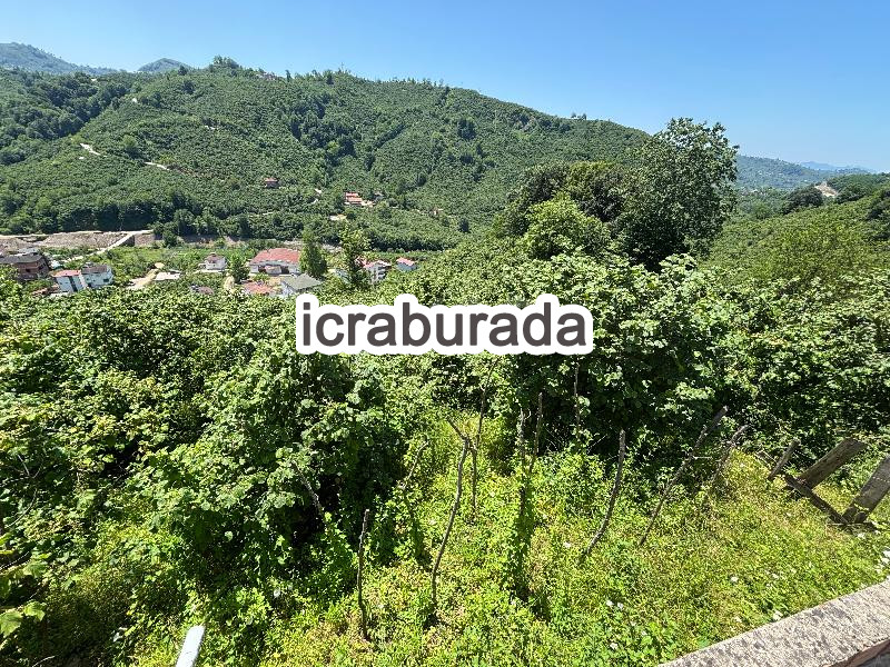 icralık  m2 Diger Ordu Fatsa Ilica