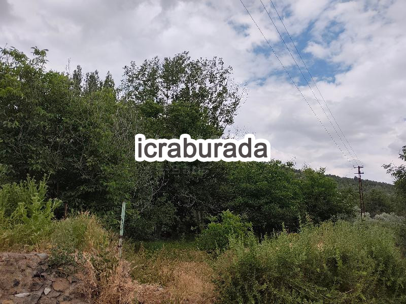 icralık  m2 Diger Kırşehir Kaman İsahocali