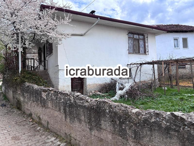 icralık  m2 Tarla Amasya Taşova Esençay