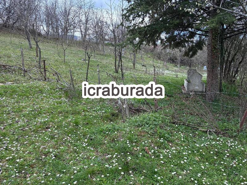 icralık  m2 Tarla Amasya Taşova Esençay
