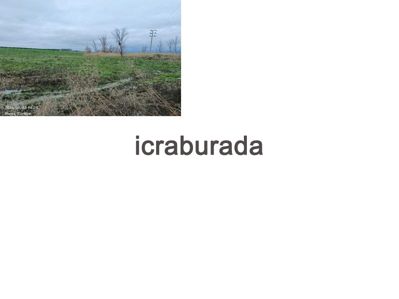 icralık  m2 Tarla Bursa Karacabey Sultaniye