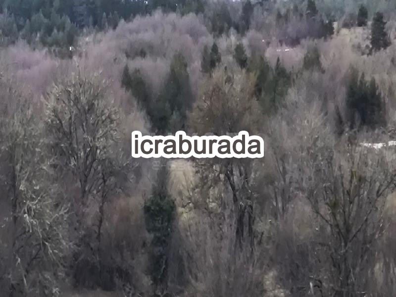 icralık  m2 Diger Karabük Safranbolu Örencik