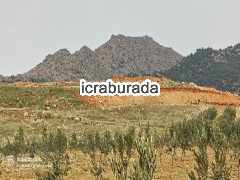 icralık  m2 Tarla Manisa Alaşehir Gümüşçay