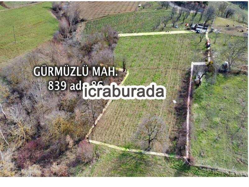 icralık  m2 Tarla Bursa İznik Gürmüzlü