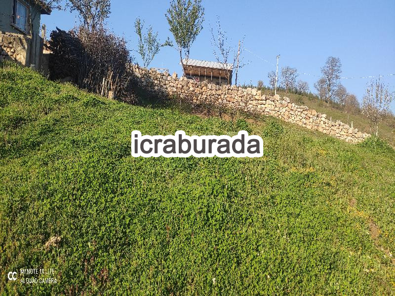 icralık  m2 Diger Bilecik Bozüyük Aşağiarmutlu