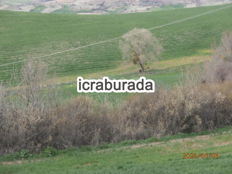 icralık  m2 Tarla Ankara Çubuk Yakuphasan