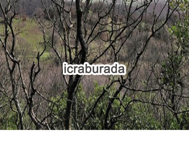 icralık  m2 Tarla Çanakkale Biga Sarisivat