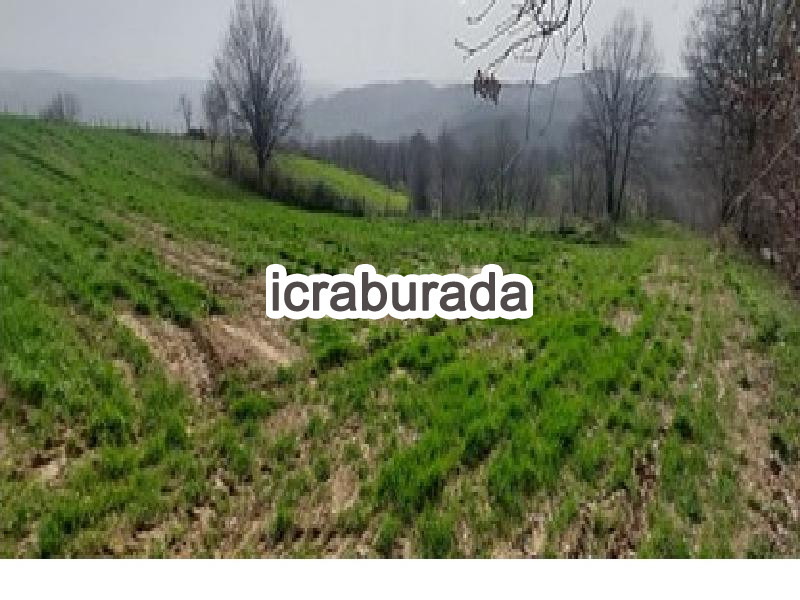 icralık  m2 Tarla Çanakkale Biga Sarisivat