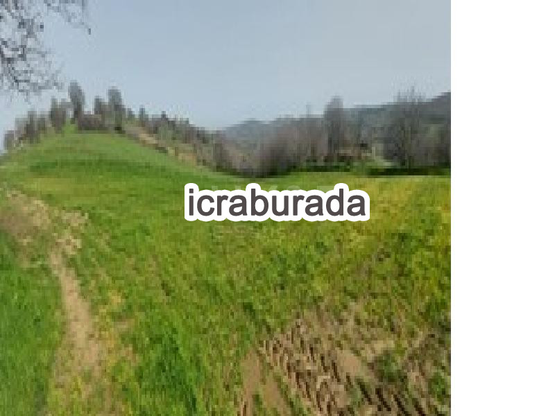 icralık  m2 Tarla Çanakkale Biga Sarisivat