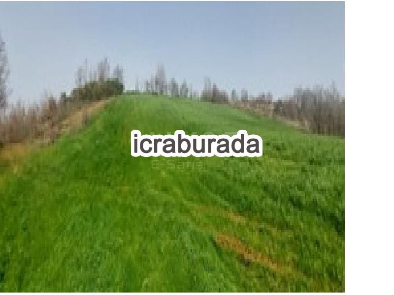 icralık  m2 Tarla Çanakkale Biga Sarisivat