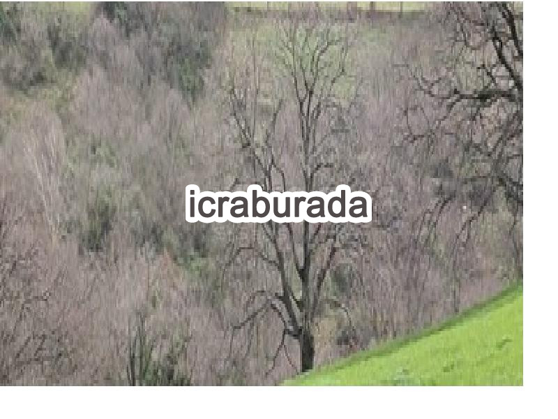 icralık  m2 Tarla Çanakkale Biga Sarisivat