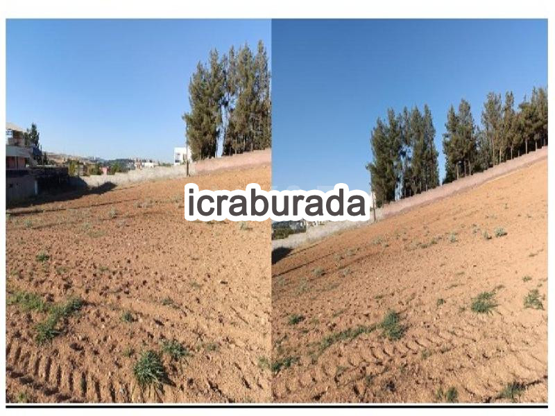 icralık  m2 Tarla Gaziantep Şahinbey K.kizilhisar