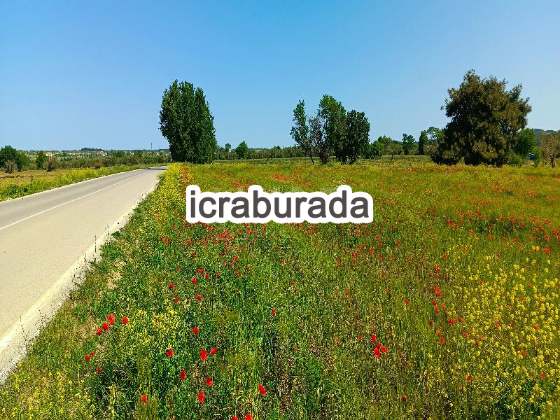 icralık  m2 Tarla Çanakkale Eceabat Alçitepe