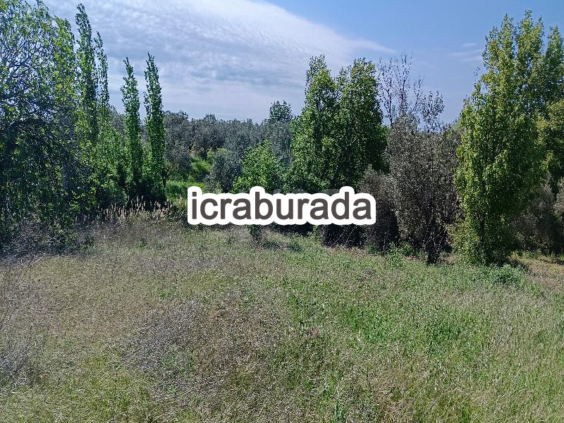 icralık  m2 Tarla Çanakkale Eceabat Alçitepe