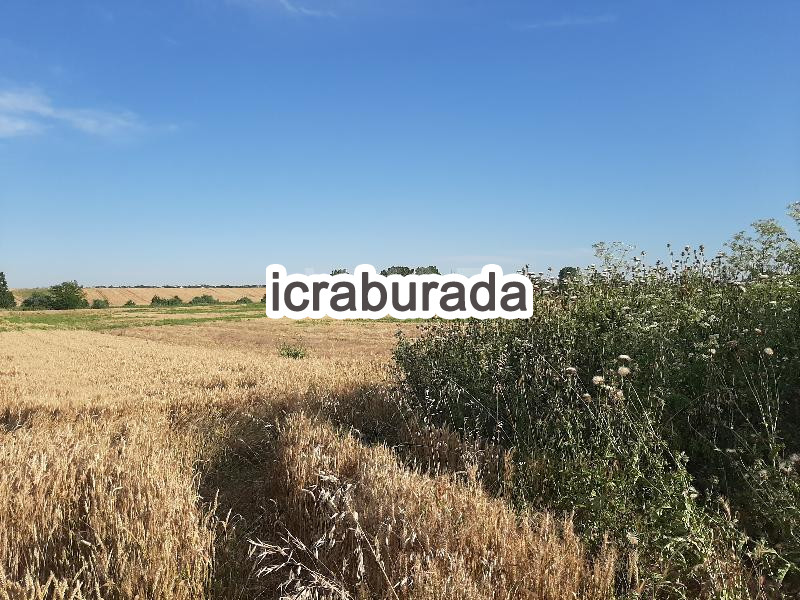 icralık  m2 Diger Tekirdağ Saray Demirler
