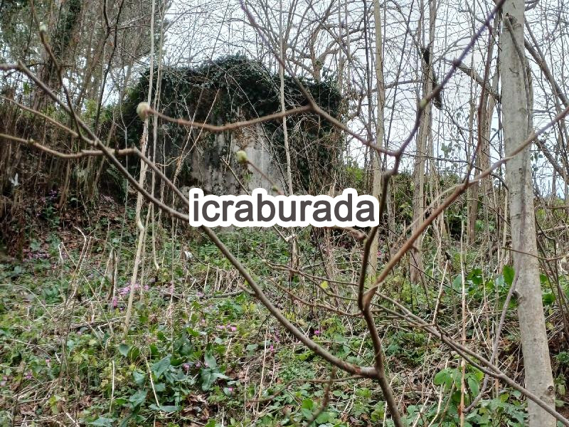 icralık  m2 Diger Ordu Altınordu Uzunmusa