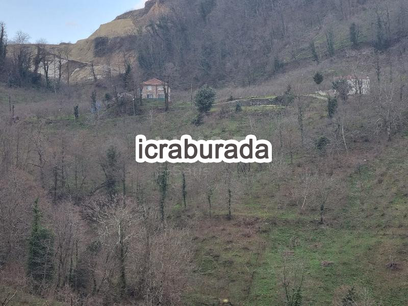 icralık  m2 Diger Ordu Altınordu Uzunmusa