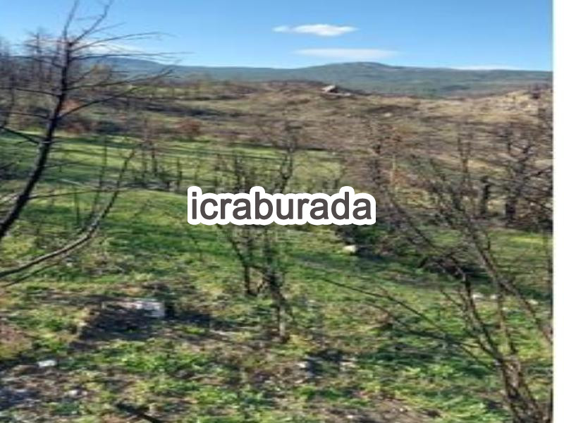 icralık  m2 Tarla Karabük Merkez Bürnük