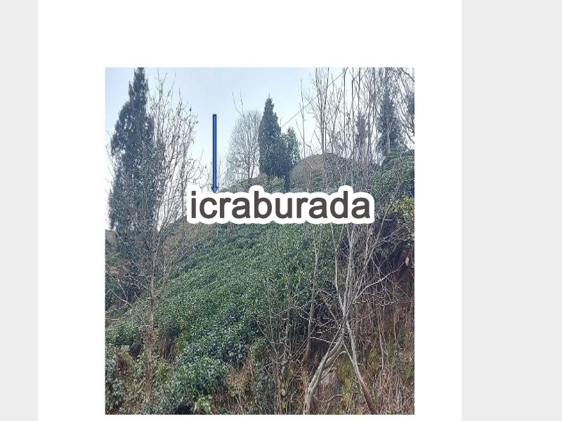 icralık  m2 Diger Rize Güneysu İslahiye