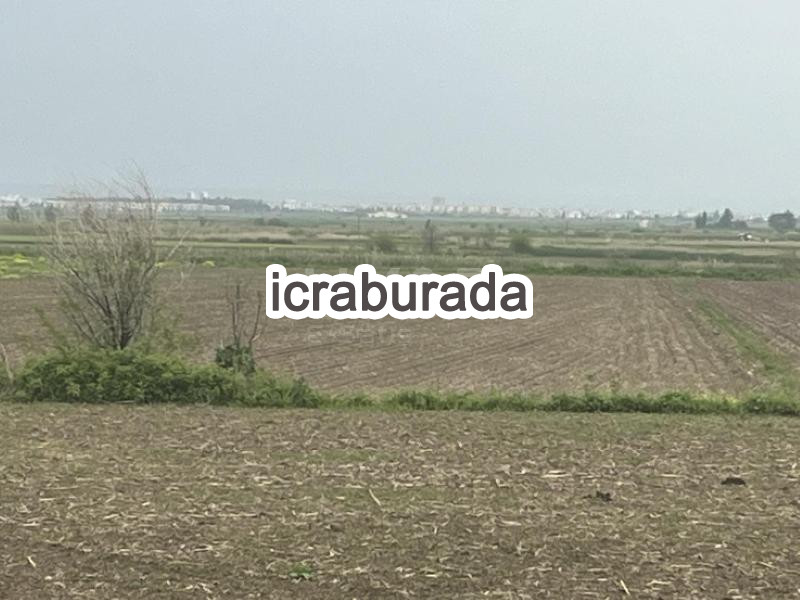 icralık  m2 Tarla Belirtilmedi Belirtilmedi Belirtilmedi