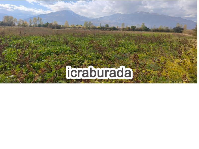icralık  m2 Tarla Erzincan Merkez Yalinca