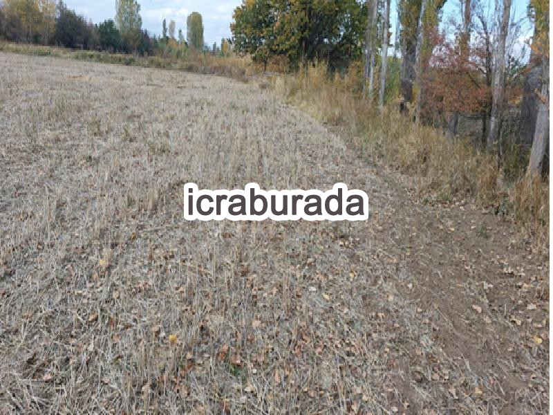 icralık  m2 Tarla Erzincan Merkez Yalinca