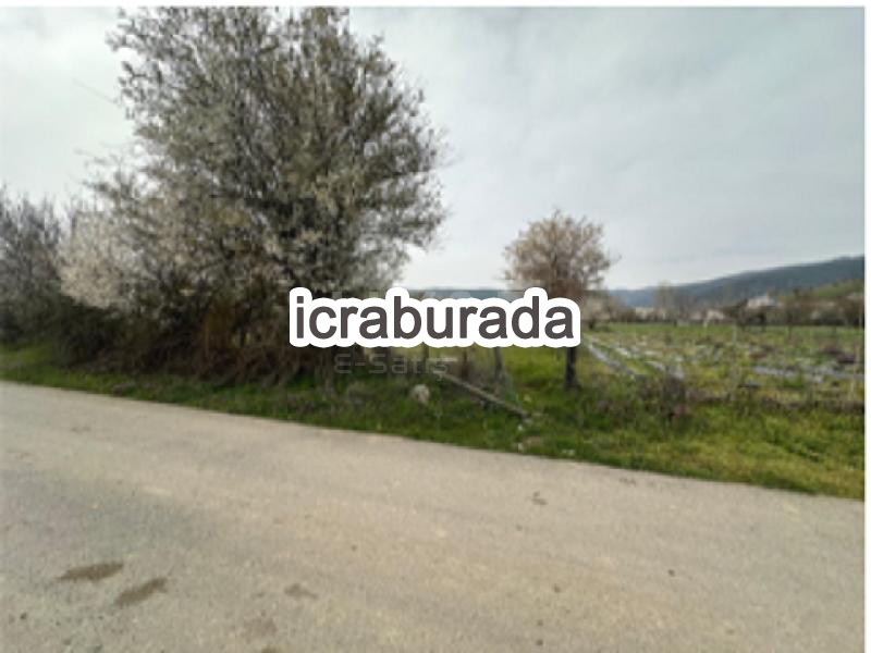 icralık  m2 Tarla Sakarya Pamukova Çilekli
