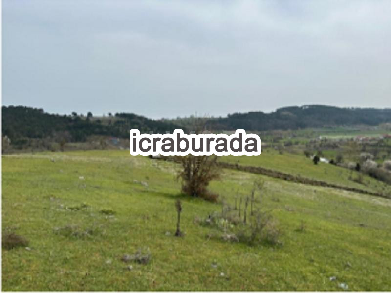 icralık  m2 Tarla Sakarya Pamukova Çilekli