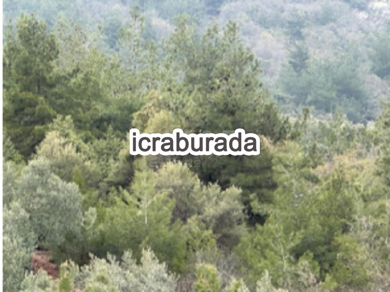 icralık  m2 Tarla Sakarya Pamukova Çilekli