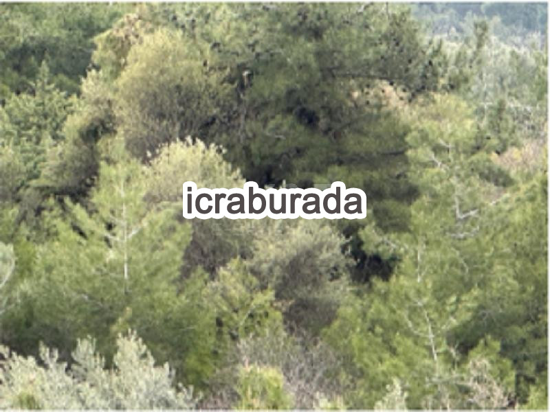 icralık  m2 Tarla Sakarya Pamukova Çilekli