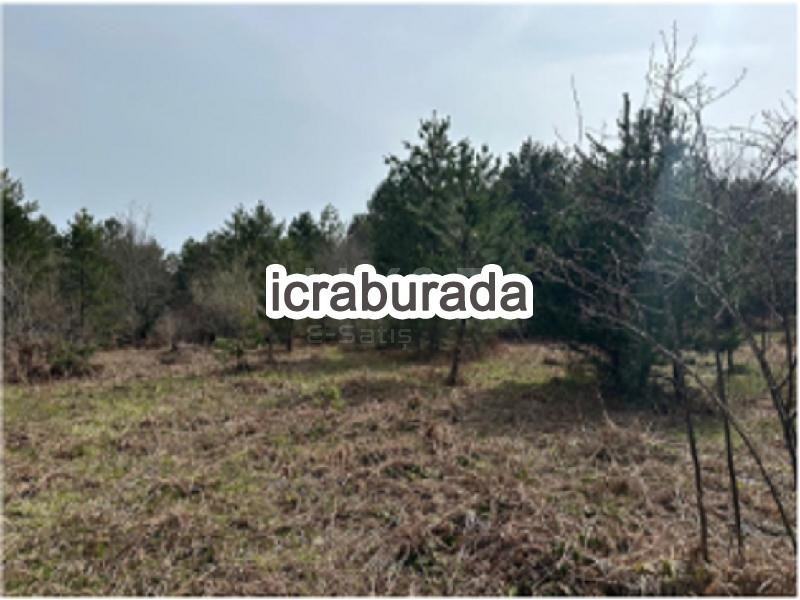 icralık  m2 Tarla Sakarya Pamukova Çilekli