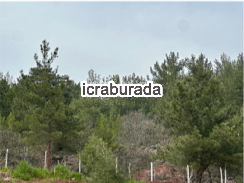 icralık  m2 Tarla Sakarya Pamukova Çilekli