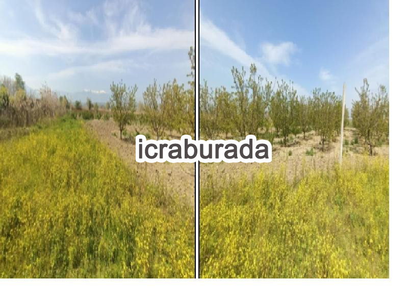 icralık  m2 Tarla Denizli Pamukkale Yeniköy