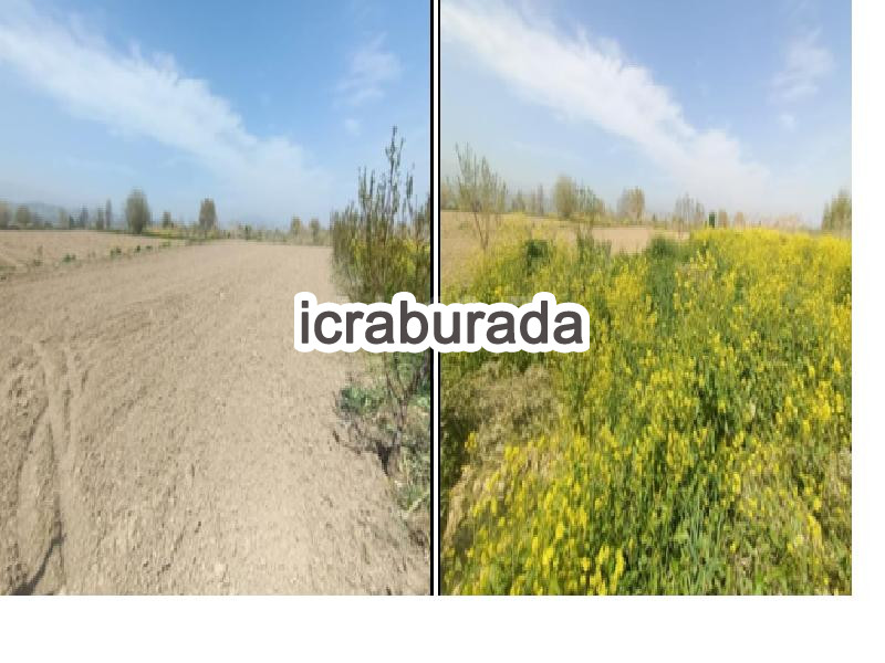 icralık  m2 Tarla Denizli Pamukkale Küçükdere