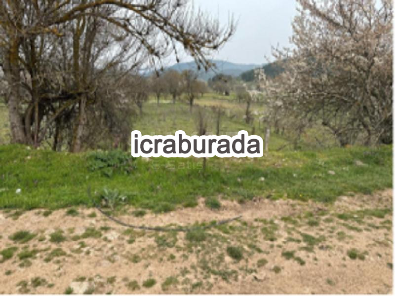 icralık  m2 Diger Sakarya Pamukova Çilekli