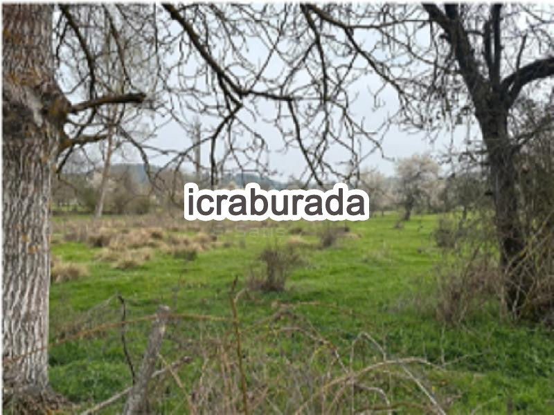 icralık  m2 Tarla Sakarya Pamukova Çilekli