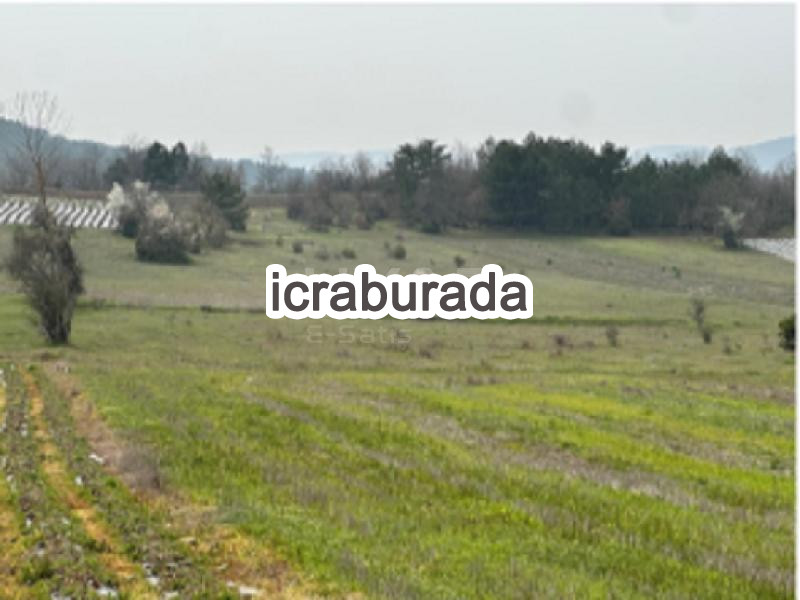 icralık  m2 Diger Sakarya Pamukova Çilekli