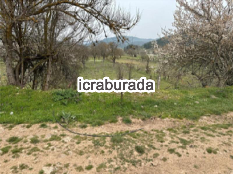 icralık  m2 Tarla Sakarya Pamukova Çilekli